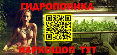ГАЛЛЮЦИНОГЕННЫЕ ГРИБЫ Кинель