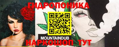 мдма Кингисепп